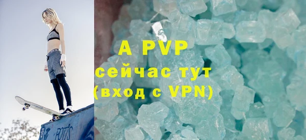 стаф Осташков