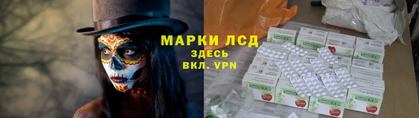 сатива Абинск