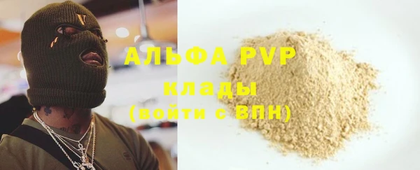 крисы Алексин